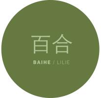 Baihe - Chinazentrum für Sprache und Kultur